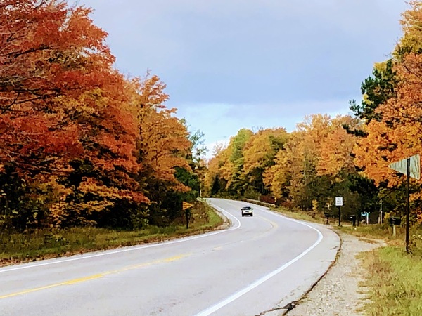 Autumn Road by Dakota Rocha