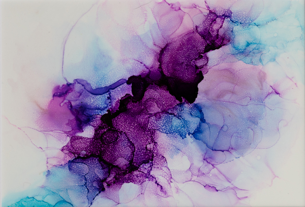 Collide by Dakota Rocha