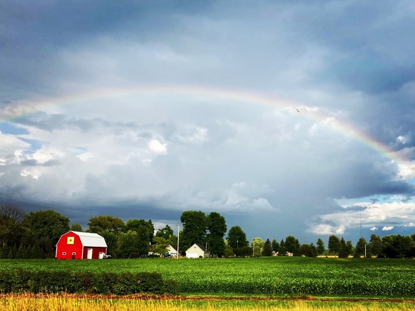 Country Rainbow Print