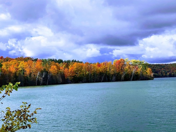 Fall on the Lake Print