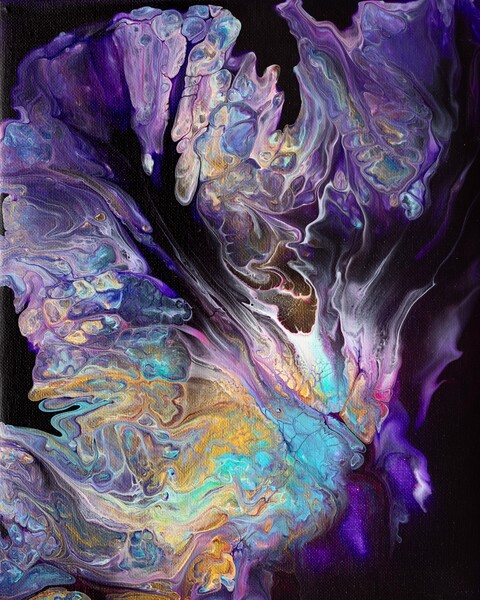 Iris by Dakota Rocha