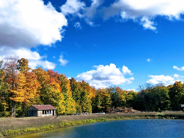 Fall Lake by Dakota Rocha