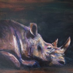 Rhino