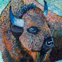 Bison