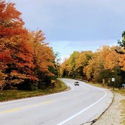 Autumn Road