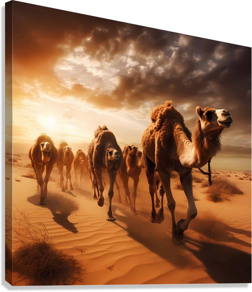 The great race Canvas Print