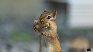 Bobby en flagrant deli