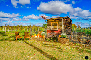 Detente a la Ferme Hubert-Sauve