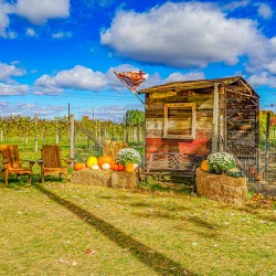Detente a la Ferme Hubert-Sauve