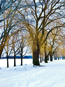 Color in winter by Genevieve Gagnon