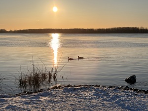 Sunrise and Bustards by Genevieve Gagnon
