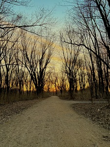 Sunset in a wooded area by Genevieve Gagnon