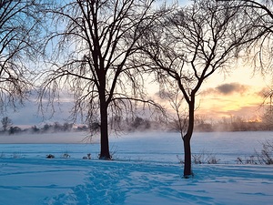 Sunrise behind the fog by Genevieve Gagnon