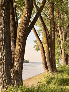 Opening on the River by Genevieve Gagnon