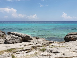 View of the Caribbean Sea by Genevieve Gagnon