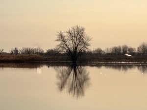 Peaceful sunrise by Genevieve Gagnon