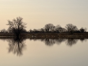 Peaceful sunrise 2 by Genevieve Gagnon