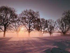 Sunrise behind the sea smoke 2 by Genevieve Gagnon