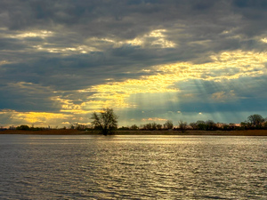 When the sun seeks its place by Genevieve Gagnon