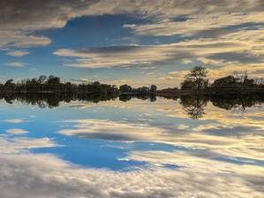 Reverse mirror reflection by Genevieve Gagnon