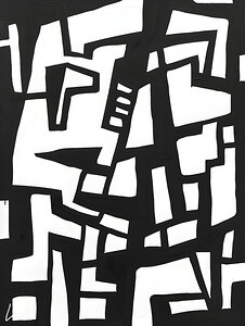 Nocturnal Harmony 11