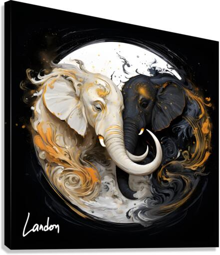 yin yang ele 4 Canvas Print