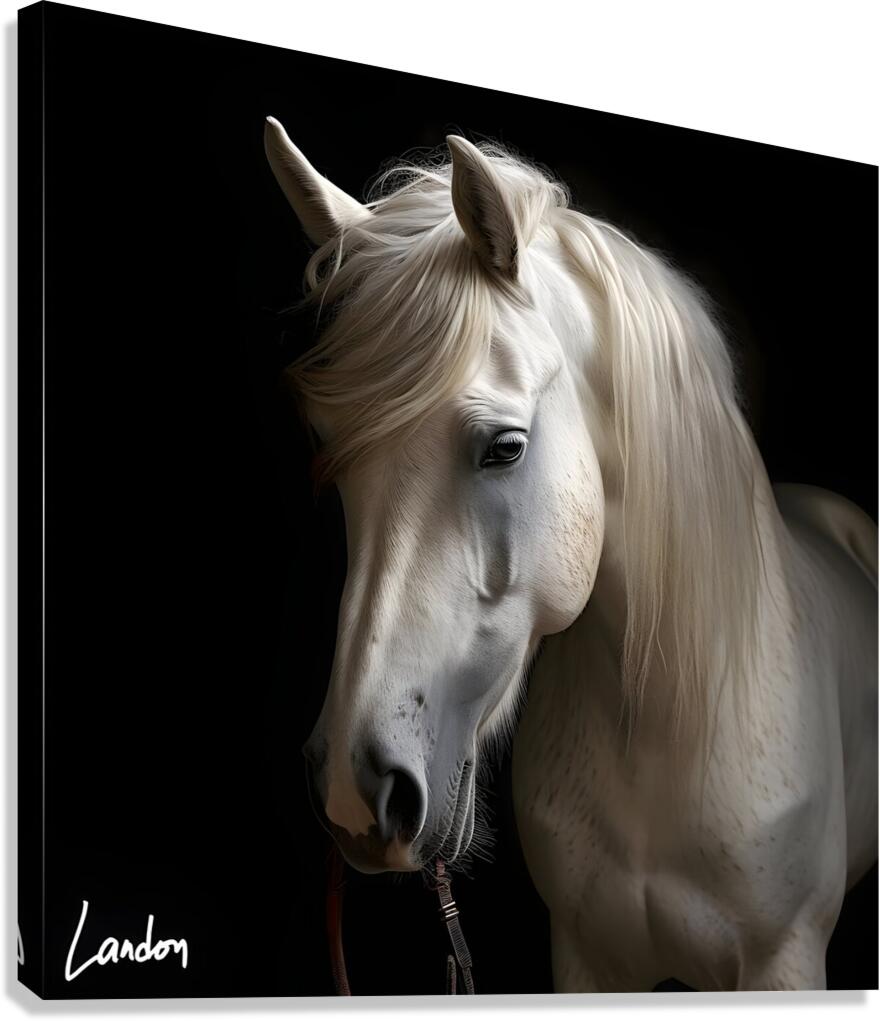 The White Horse 1 Canvas Print