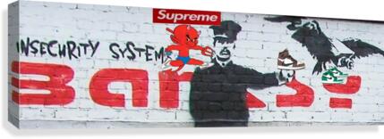 Devilalpgraffiti Canvas Print
