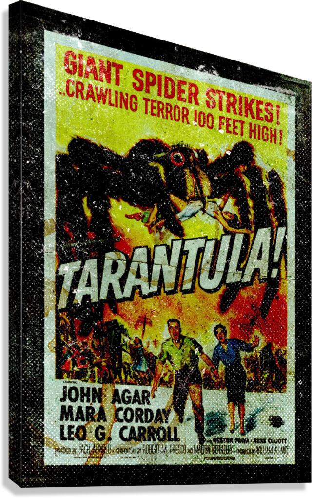 Tarantula Canvas Print