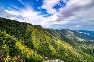 Chimney Tops 51