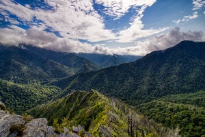 Chimney Tops 58