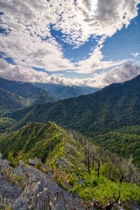 Chimney Tops 60