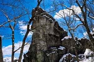 Dragon Tooth