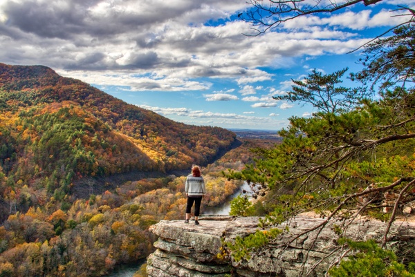 Fall Point Print