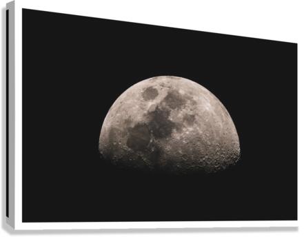 MOON Canvas Print