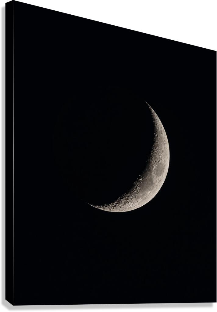 Crescent Moon Canvas Print