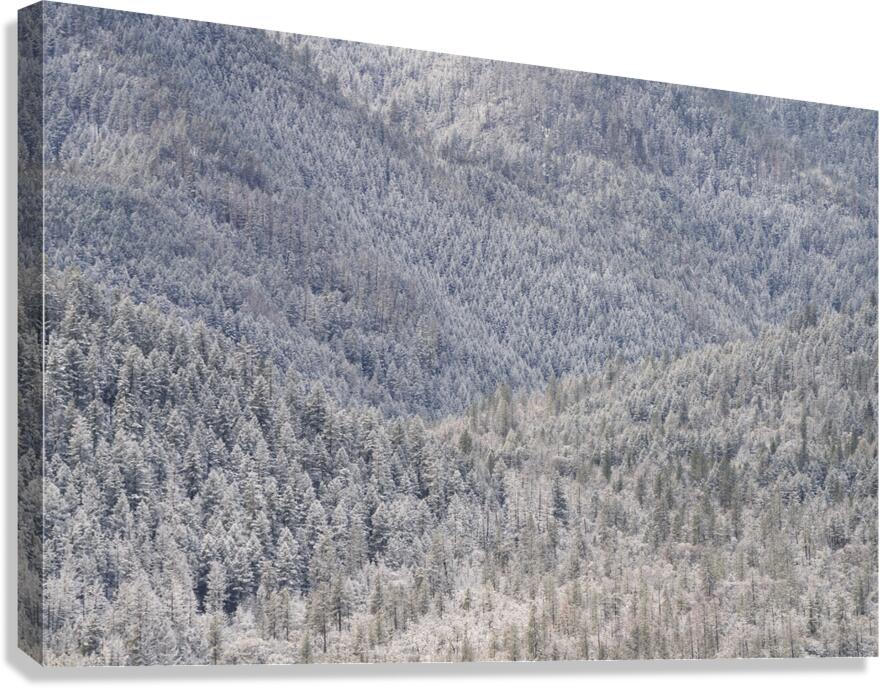 Light Snow Canvas Print