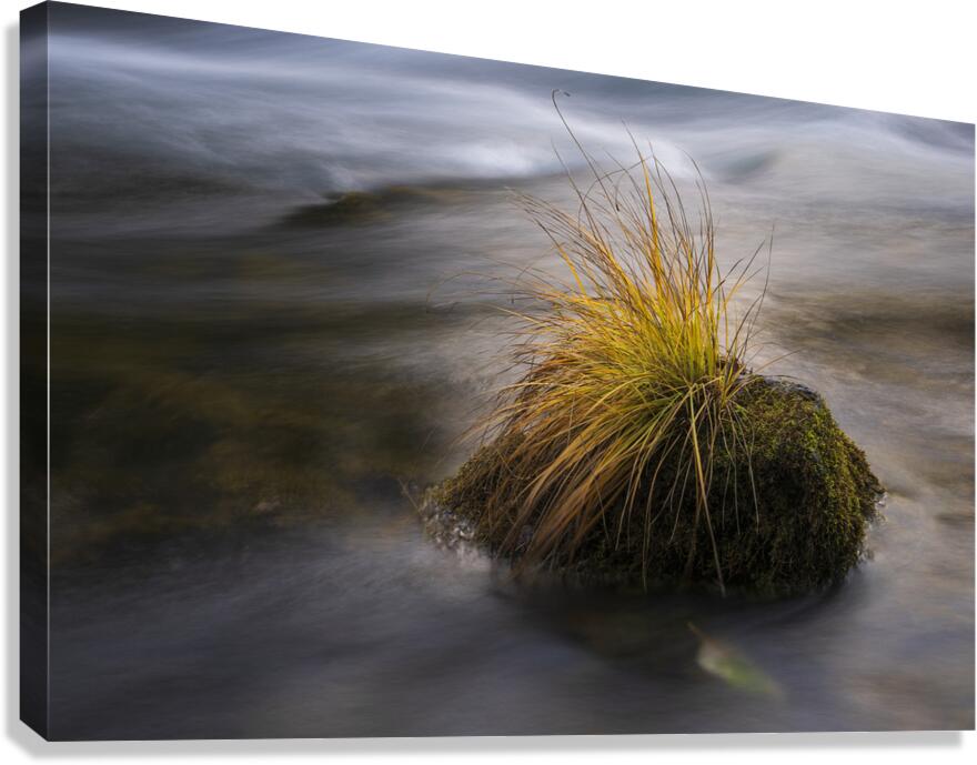 River Rock Canvas Print