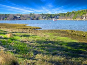 Cape Cod Inlet Print