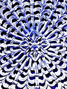 IMG 1220