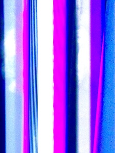IMG 3865