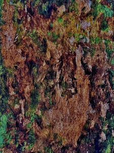 IMG 0576