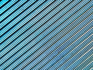 IMG 0737