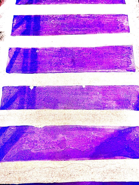 IMG 1694 Print