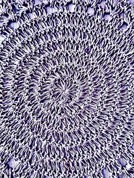 IMG 1287 Print