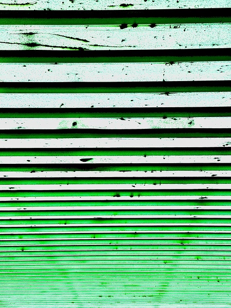 IMG 1129 Print