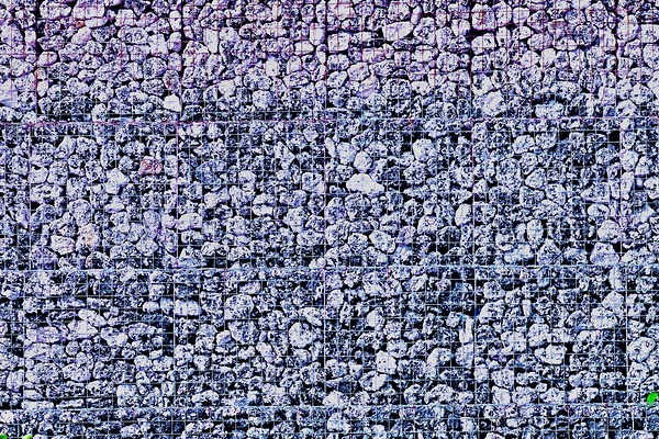 IMG 0238 Print