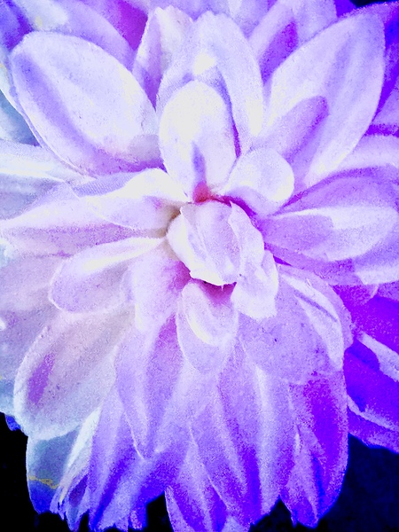 IMG 1489 Print