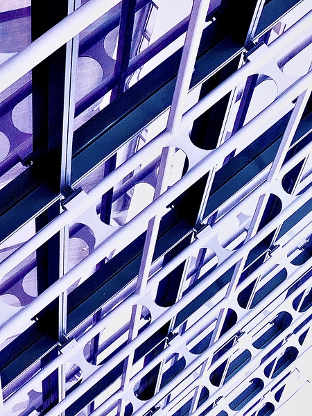 IMG 1127 Print