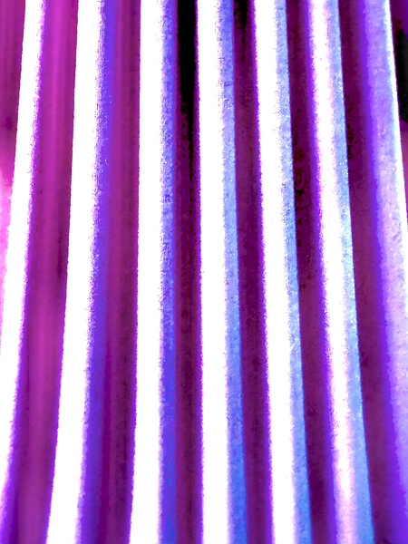 IMG 1337 Print